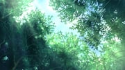 Post 11865168