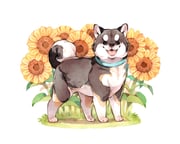 Post 10620816