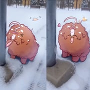 Post 10457043