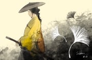 Post 11660719