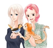 Post 10912515