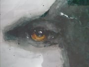 Post 12112893