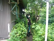 Post 11738470