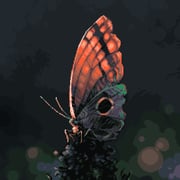 Post 12205888
