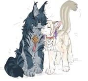 Post 10049471