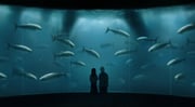 Post 12217308