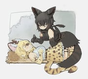 Post 9017659
