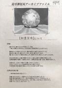 Post 9913002