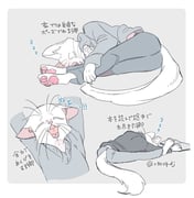 Post 9265079