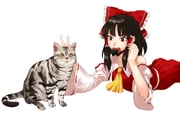 Post 11960720