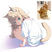 Post 11653529