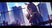 Post 11355052