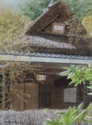 Post 10100592