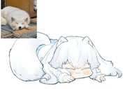 Post 11028371