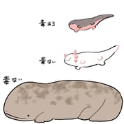 Post 11694871