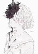 Post 11164976