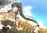 Post 1215037