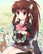 Post 6529806