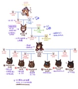 Post 6759394