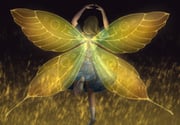 Post 10808740