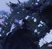 Post 11810767