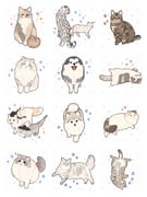 Post 11609377