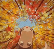 Post 11856487