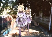 Post 10744134