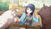Post 11190222