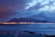 Post 12034340