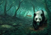 Post 11610039