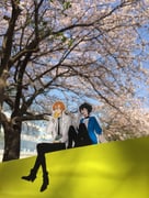 Post 11307647