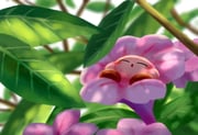 Post 11629071