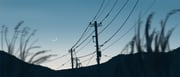 Post 10871437