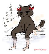 Post 10351502