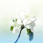 Post 10492026