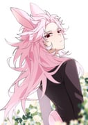 Post 8480105