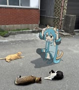 Post 10974263