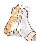 Post 11891116