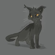 Post 11067154