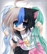 Post 12021701