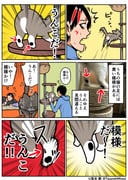 Post 10781430