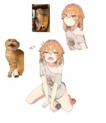 Post 9341034