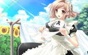Post 929107