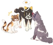 Post 11170627