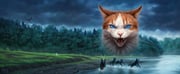Post 11610676