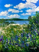 Post 11905545
