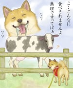 Post 334020