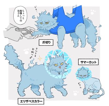 Post 10253812