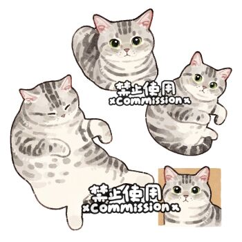 Post 13481281